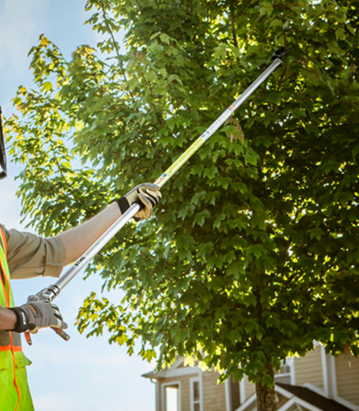 Customer Satisfaction